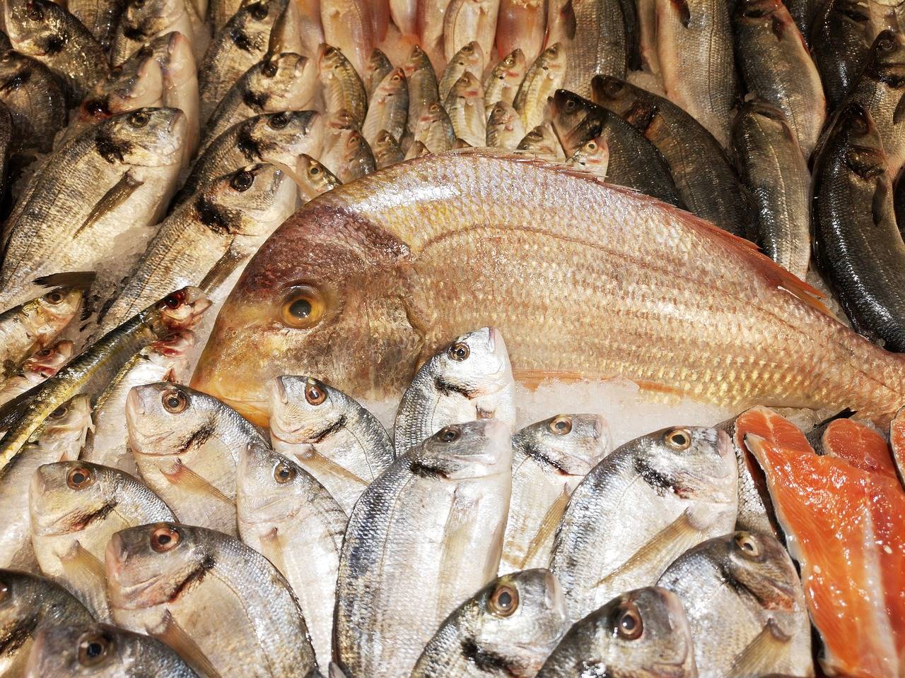 The Role of Positive Psychology in Mental Health Promotion