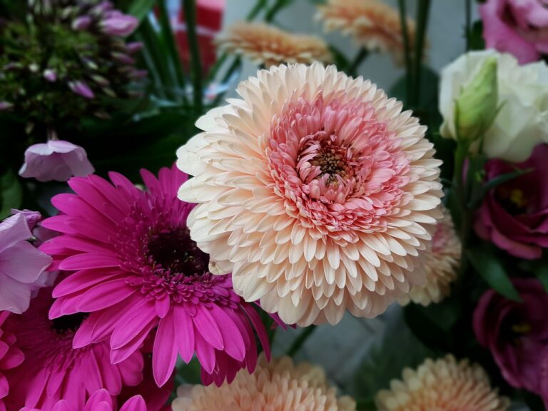 Top 10 Sustainable Fashion Accessories for Eco-Friendly Shoppers