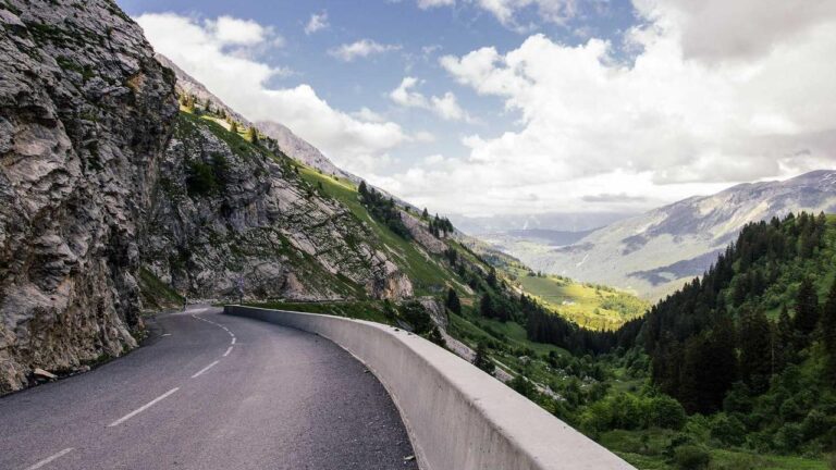 What Is The Purpose Of 11Xplay Pro Reddy Anna Login?